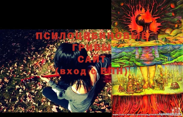 марихуана Богородицк