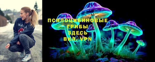 хмурый Богородск
