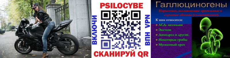 нарко площадка Telegram Великий Устюг Псилоцибиновые грибы Psilocybe хочу наркоту