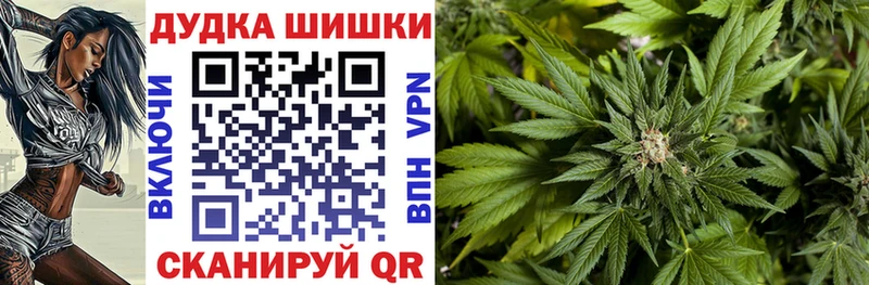где купить   Великий Устюг  Бошки Шишки планчик 
